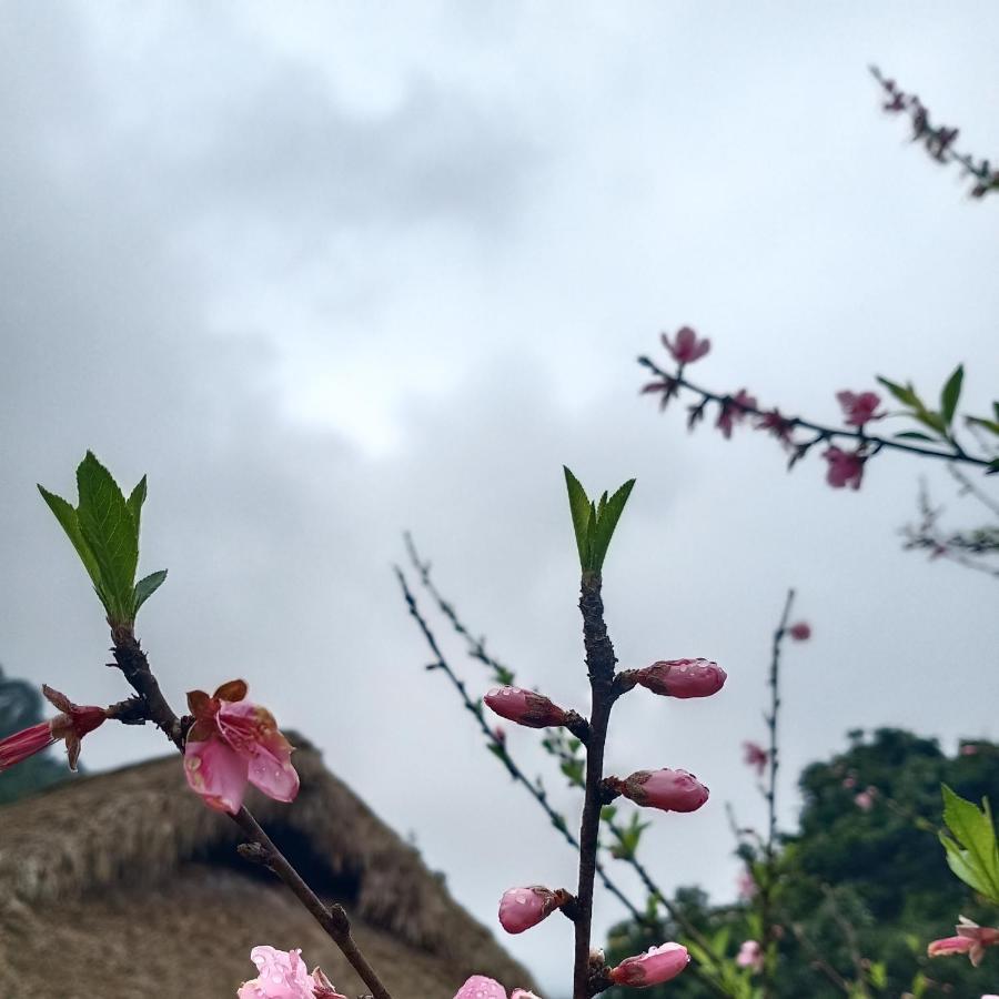 Dao Homestay Hoang Su Phi Exteriör bild