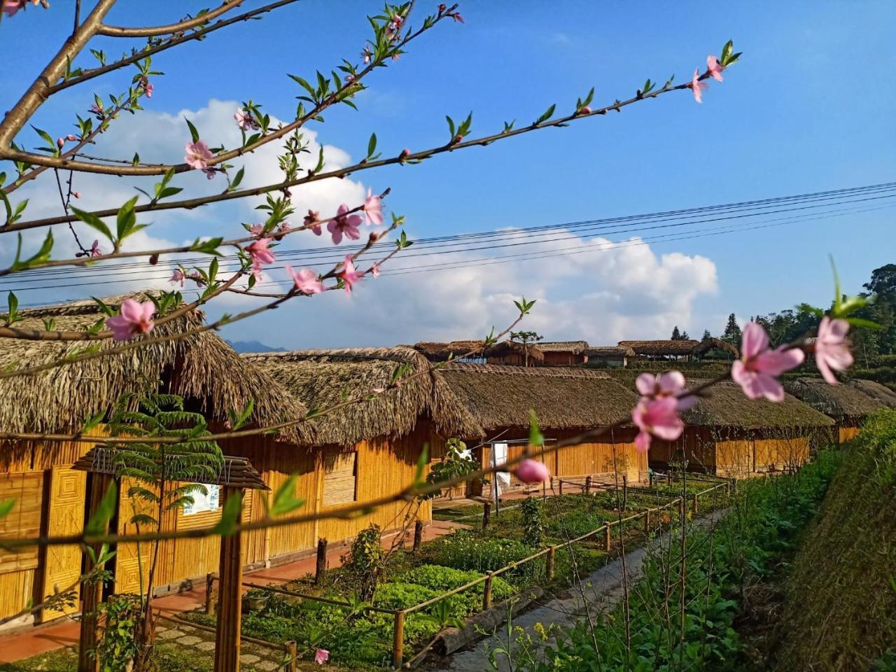Dao Homestay Hoang Su Phi Exteriör bild