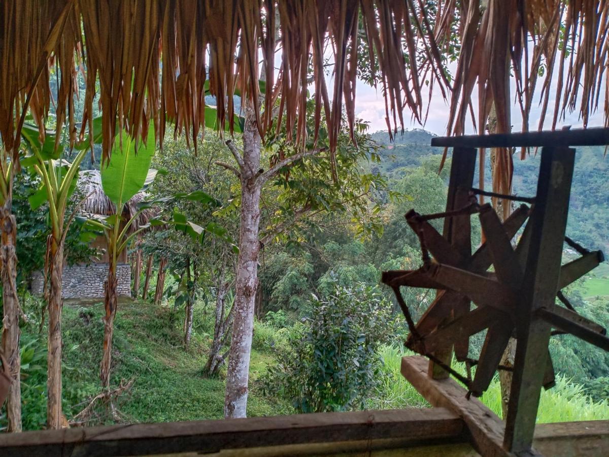 Dao Homestay Hoang Su Phi Exteriör bild